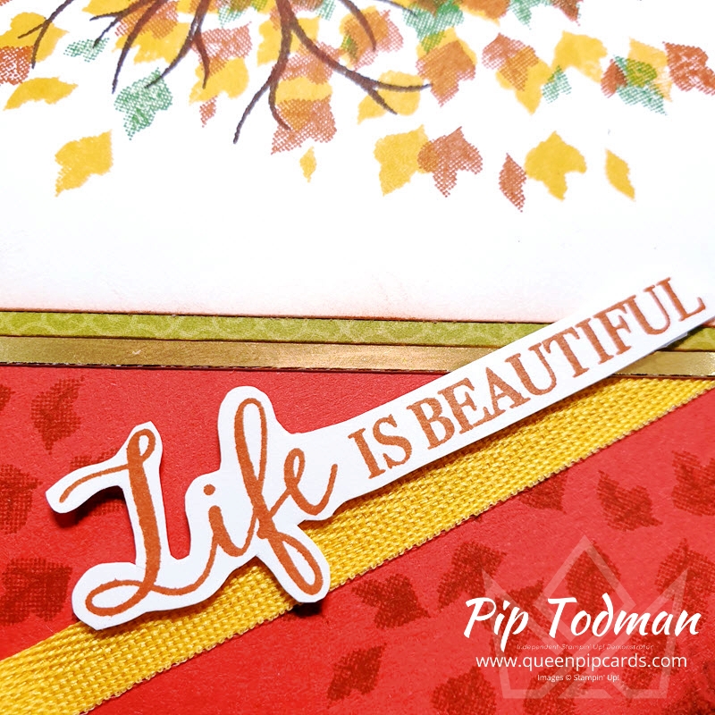 Life is Beautiful In it's Autumn splendor! Pip Todman Stampin' Up! Demonstrator #simplystylish #queenpipcards