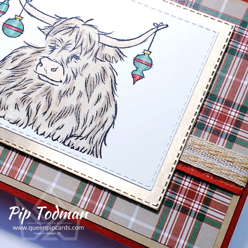 Highland Cattle from Yuletide Pasture! Pip Todman Stampin' Up! Demonstrator #simplystylish #queenpipcards