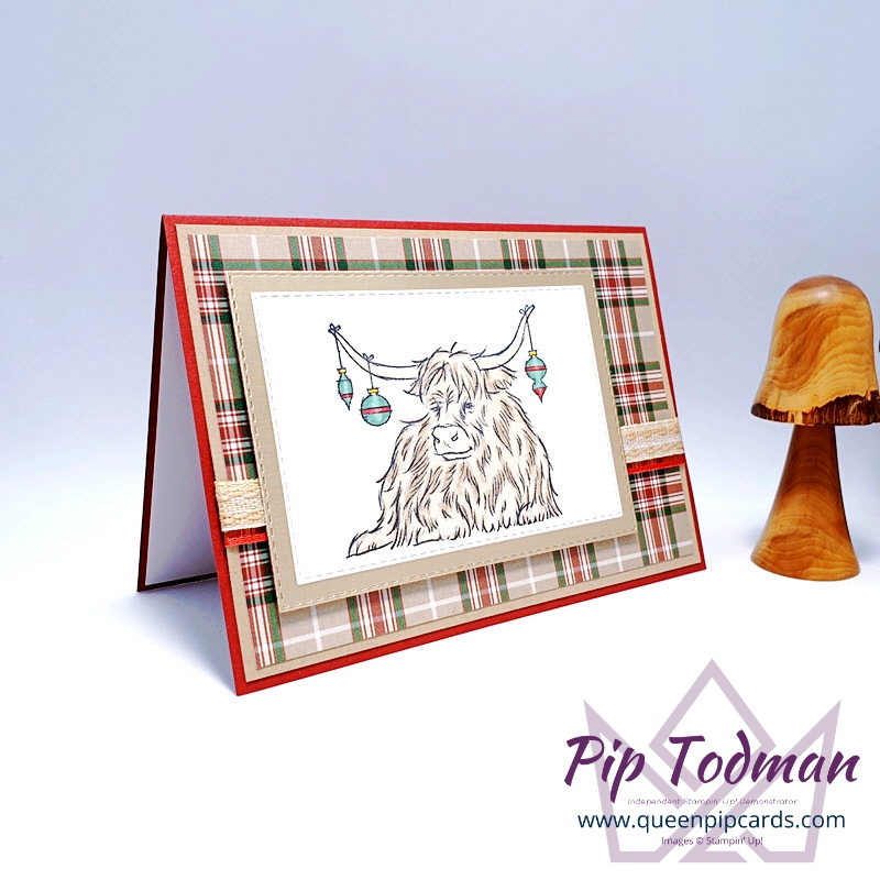 Plaid Tidings with Yuletide Pasture! Pip Todman Stampin' Up! Demonstrator #simplystylish #queenpipcards