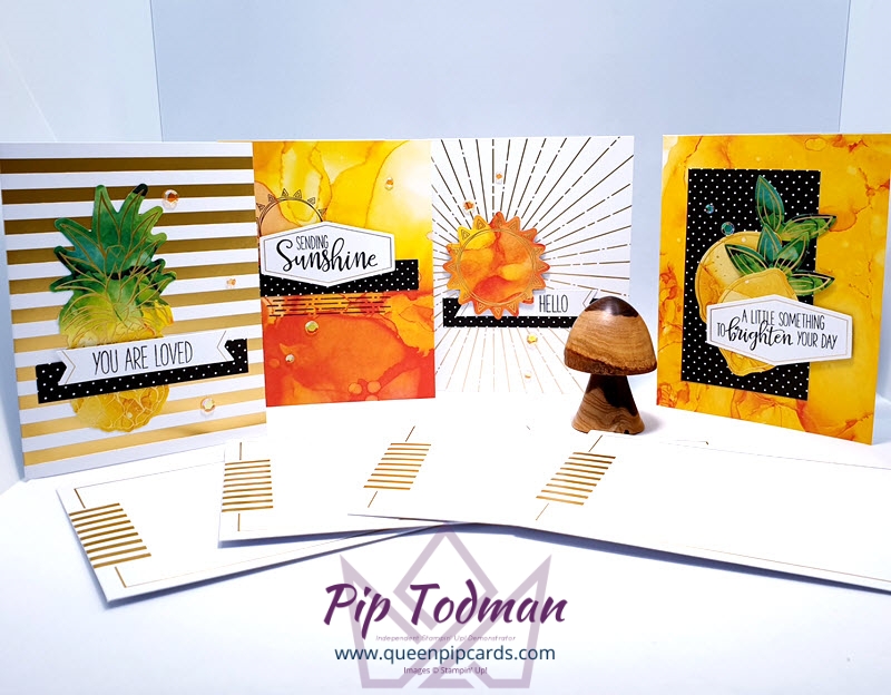 Box of Sunshine Paper Pumpkin Pip Todman Stampin' Up! Demonstrator #simplystylish #queenpipcards