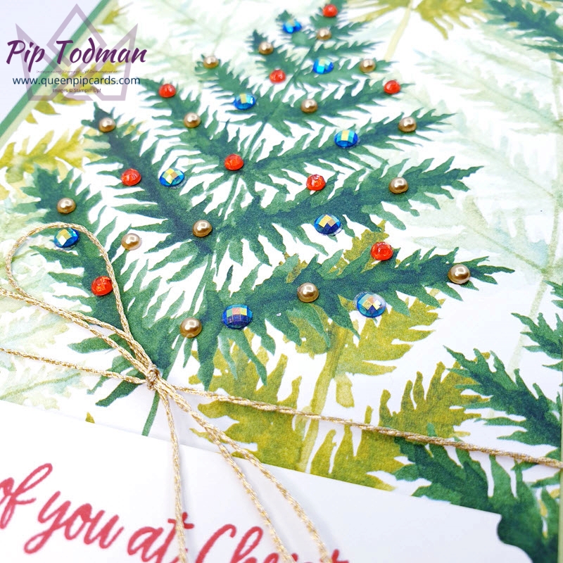 Sparkly Christmas Tree Card with Forever Greenery papers.  Pip Todman Stampin' Up! Demonstrator #simplystylish #queenpipcards