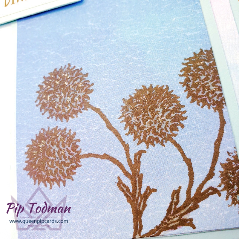 Colouring on Pretty Paper is quick, easy and makes great simple but stylish cards. Pip Todman Stampin' Up! Demonstrator #simplystylish #queenpipcards