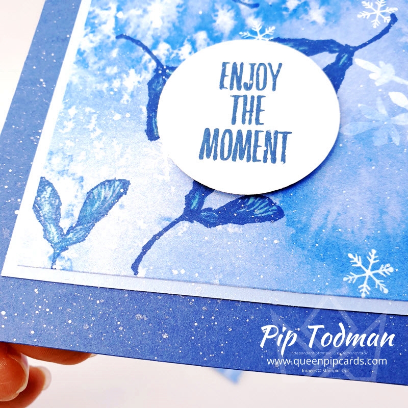 Frosted Greetings Card that is quick and easy to make. Pip Todman Stampin' Up! Demonstrator #simplystylish #queenpipcards