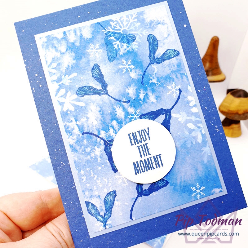 Frosted Greetings Card that is quick and easy to make. Pip Todman Stampin' Up! Demonstrator #simplystylish #queenpipcards