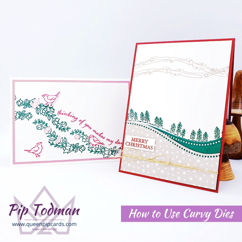 How to use Curvy dies in your card making. Pip Todman Stampin' Up! Demonstrator #simplystylish #queenpipcards