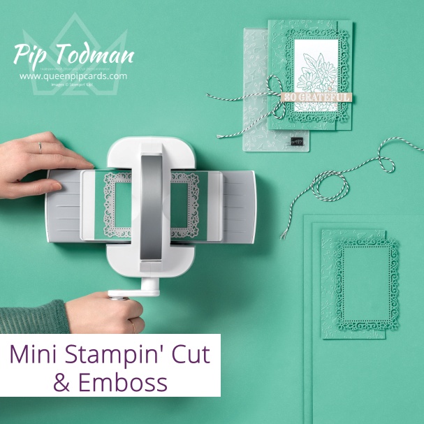 Mini Stampin' Cut & Emboss machine now available!

Pip Todman
www.queenpipcards.com
#stampinup #queenpipcards #simplystylish