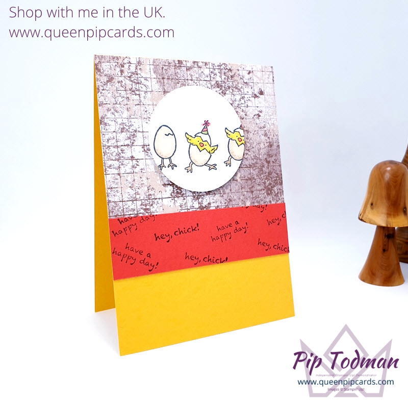 Birthday Fun Card Ideas Hey Birthday Chick Pip Todman UK Stampin' Up! Demonstrator www.queenpipcards.com #queenpipcards #simplystylish #stampinup #newcardmakers #newhobby #cardmaking