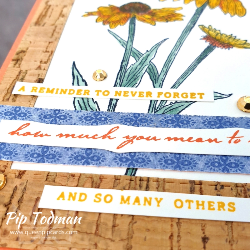 Pip Todman Stampin Up Demonstrator Natures Harvest WCMD C1 800x800